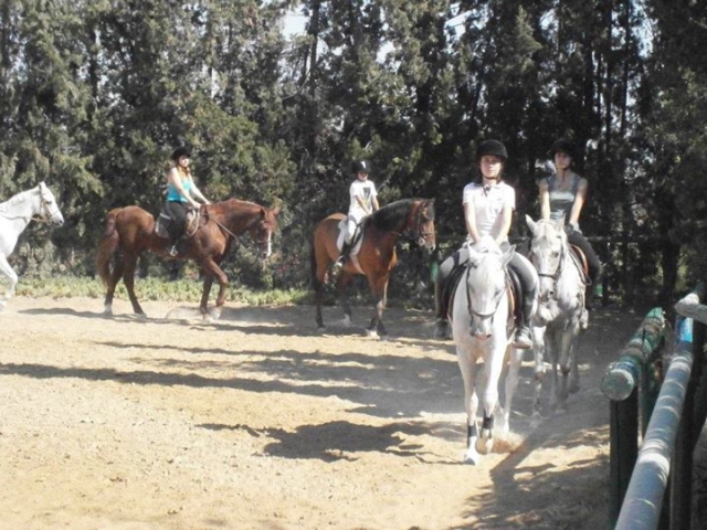 Paseando por la pista